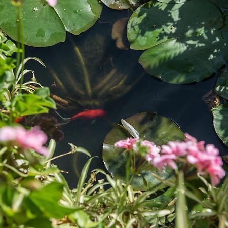 Villa Eleonas バモス エクステリア 写真