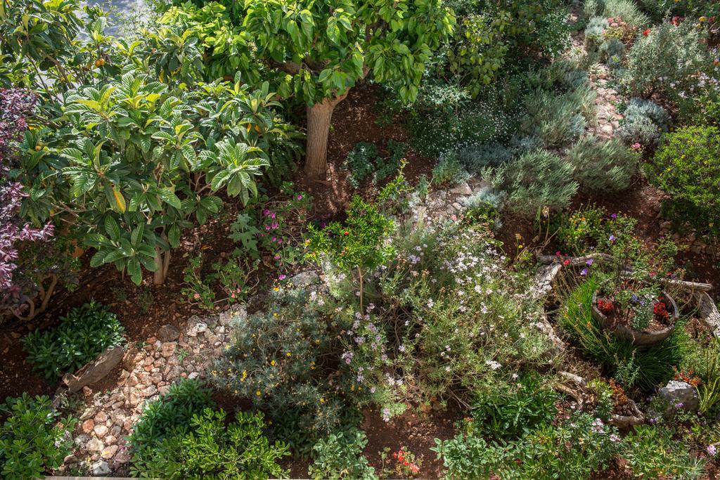 Villa Eleonas バモス エクステリア 写真